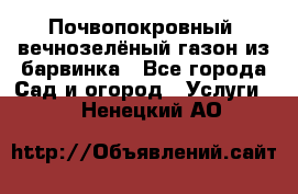 Почвопокровный, вечнозелёный газон из барвинка - Все города Сад и огород » Услуги   . Ненецкий АО